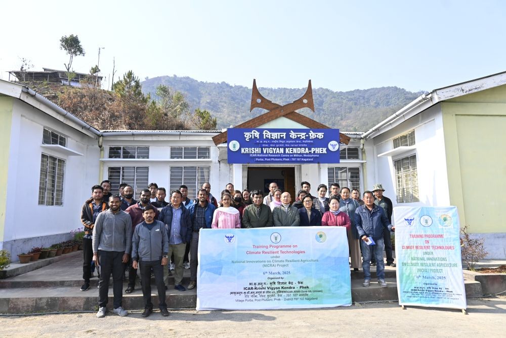 ICAR-KVK Phek organised a training programme on climate-resilient technologies under the NICRA project on March 6.